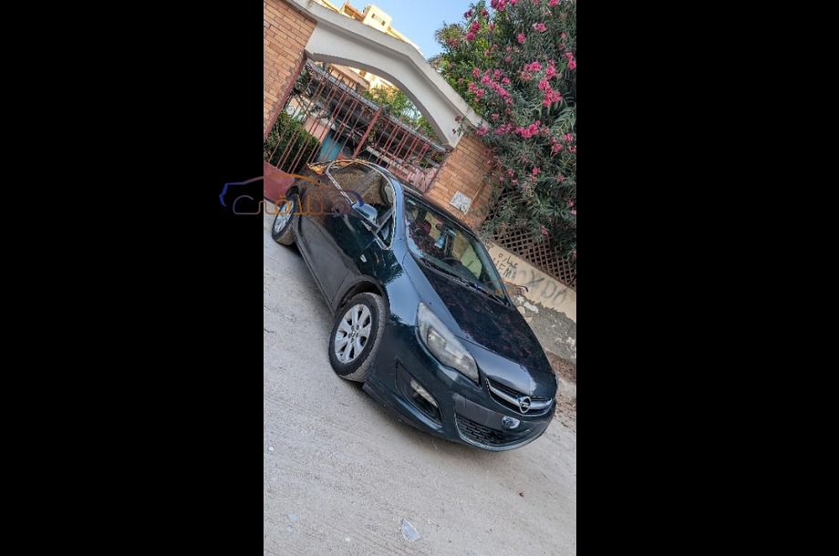 Astra Opel Dark green