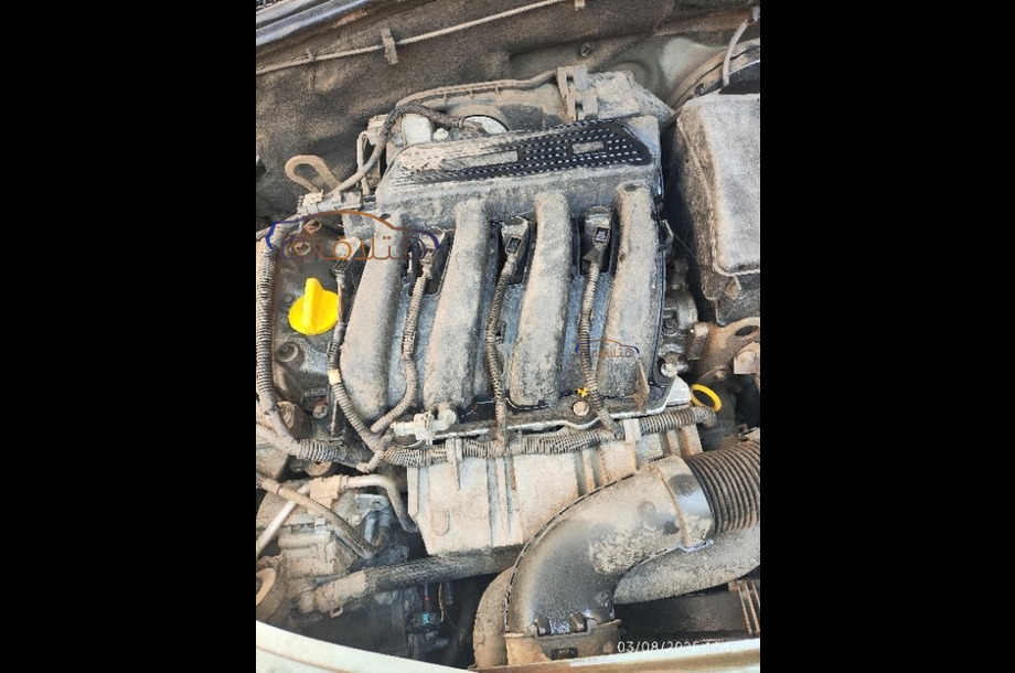 Duster Renault أخضر