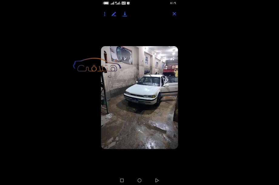 Accord Honda أبيض