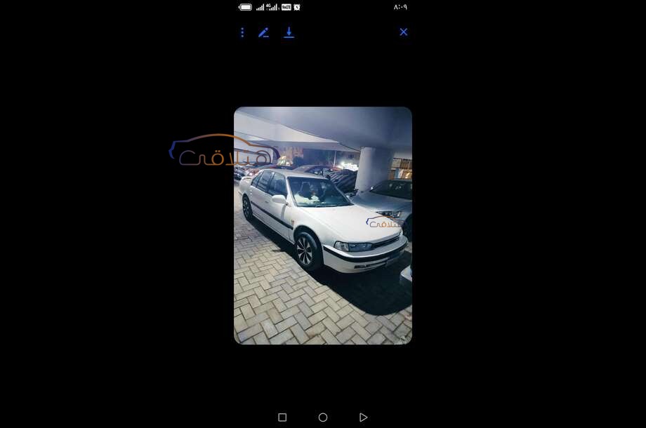 Accord Honda أبيض