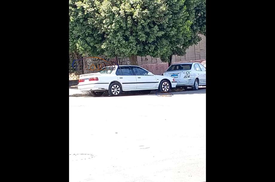 Accord Honda أبيض