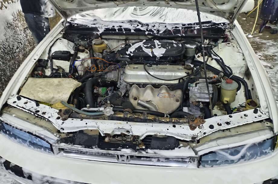 Accord Honda أبيض