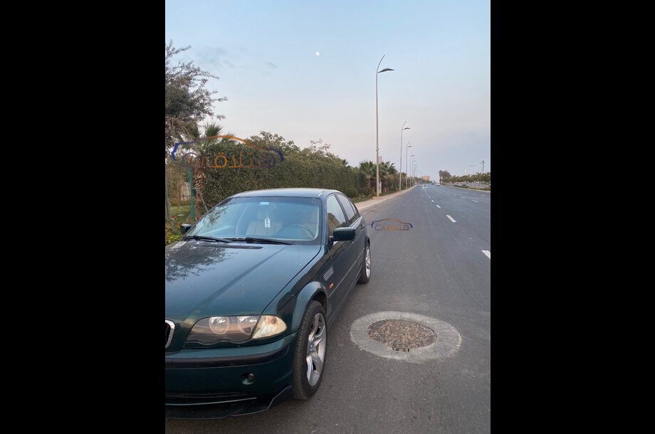 318 BMW اخضر غامق