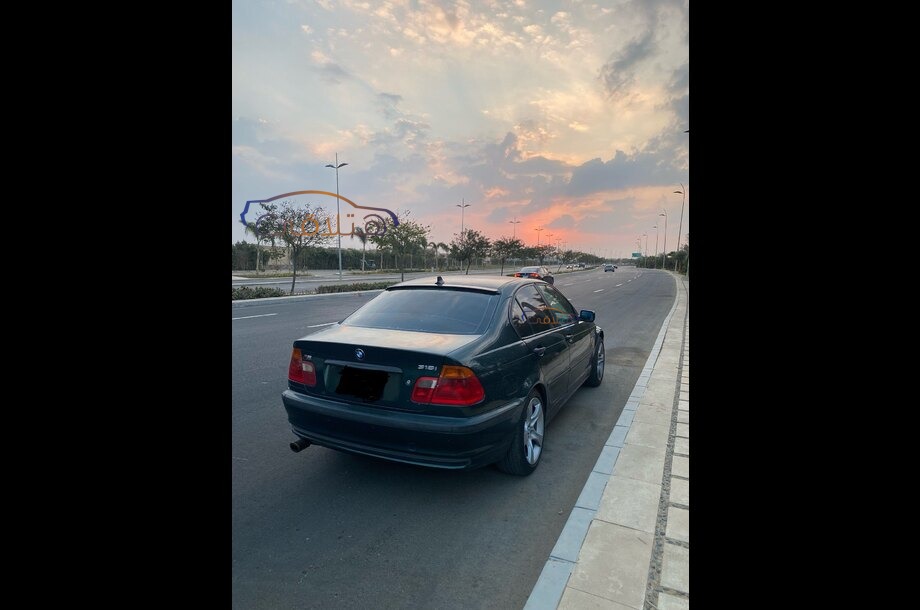318 BMW اخضر غامق