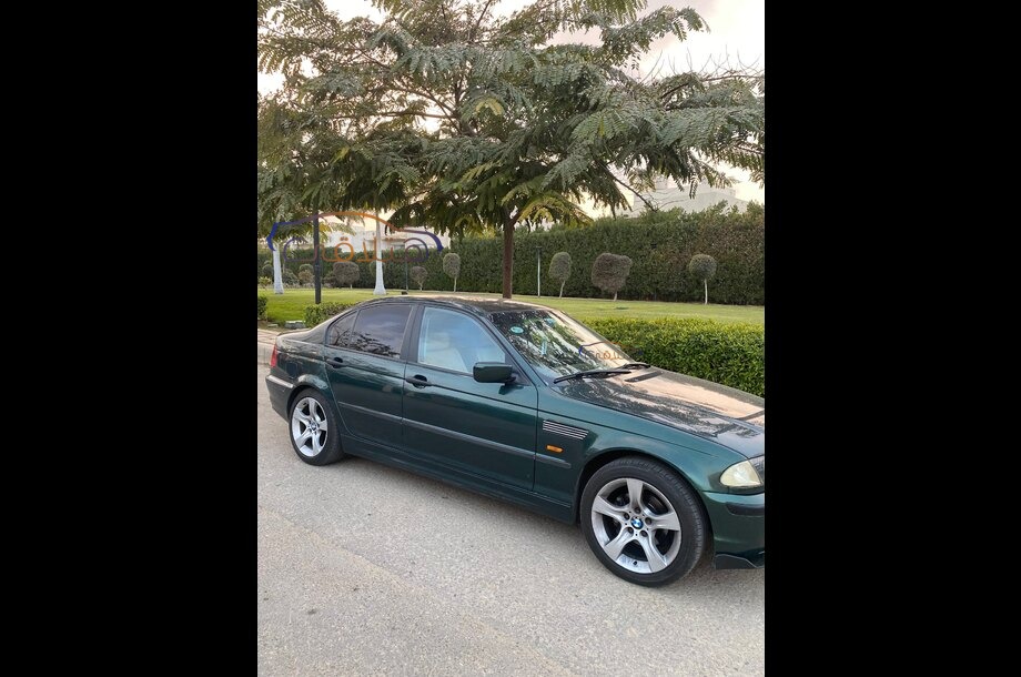 318 BMW اخضر غامق