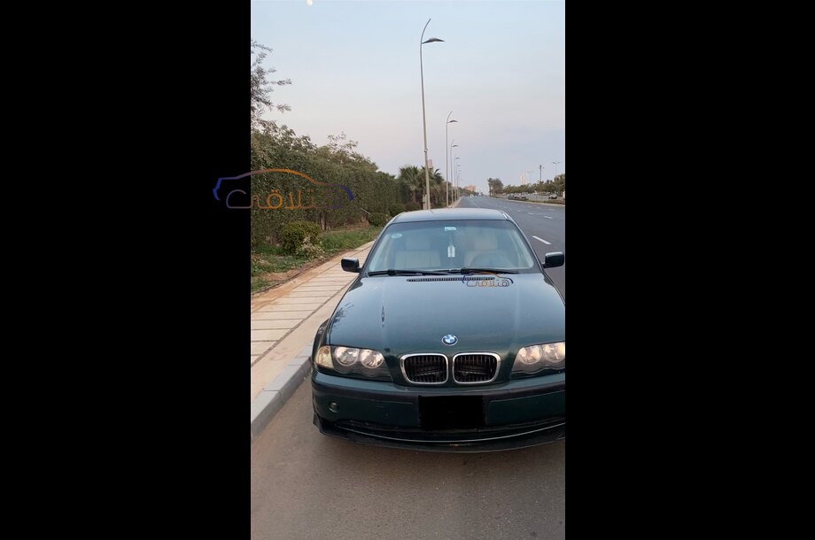 318 BMW اخضر غامق