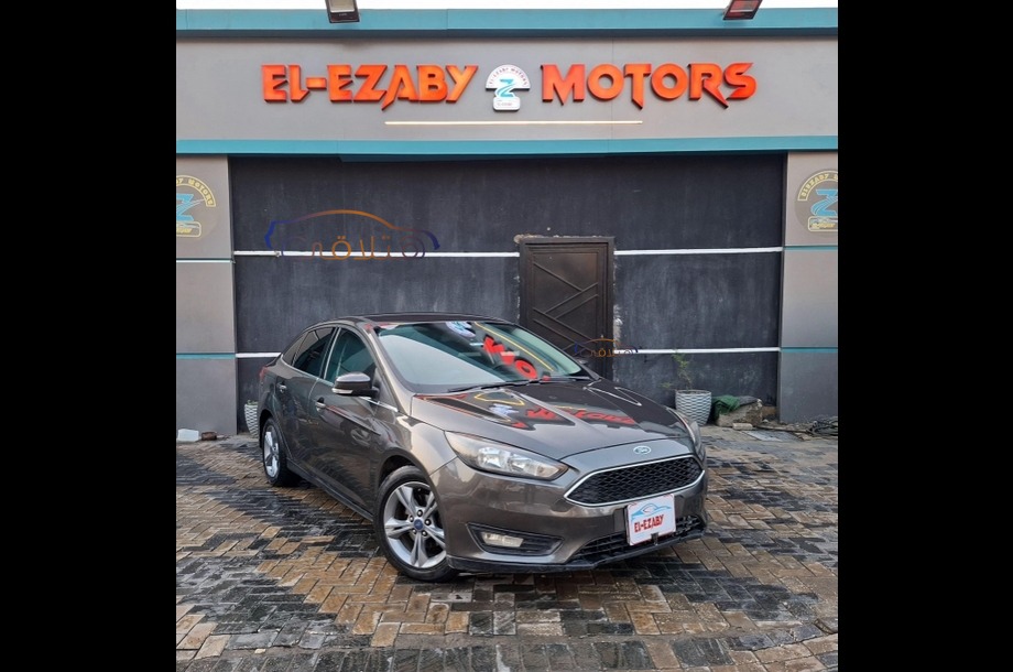 Focus Ford رمادي