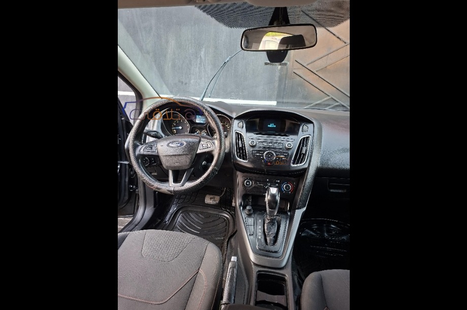 Focus Ford رمادي