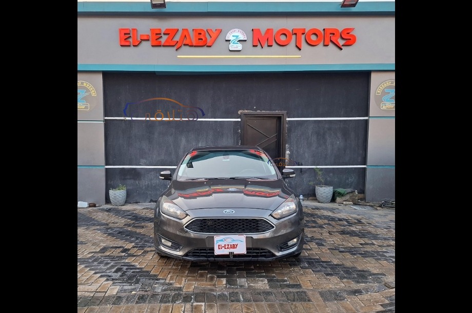 Focus Ford رمادي