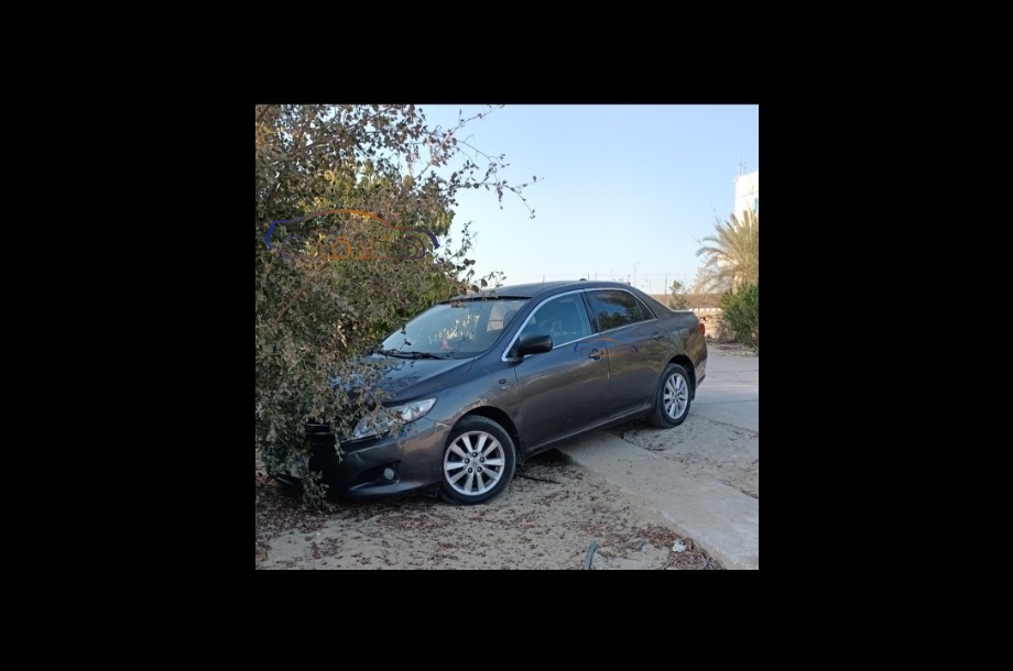 Corolla Toyota رمادي