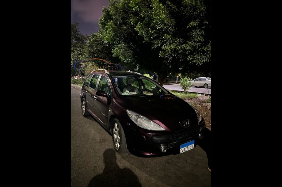 307 Peugeot باذنجاني