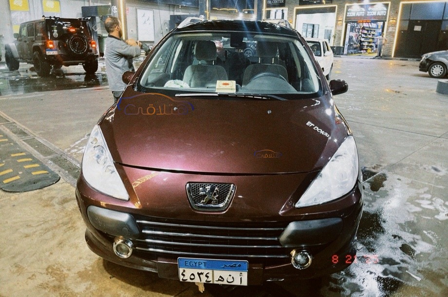 307 Peugeot باذنجاني