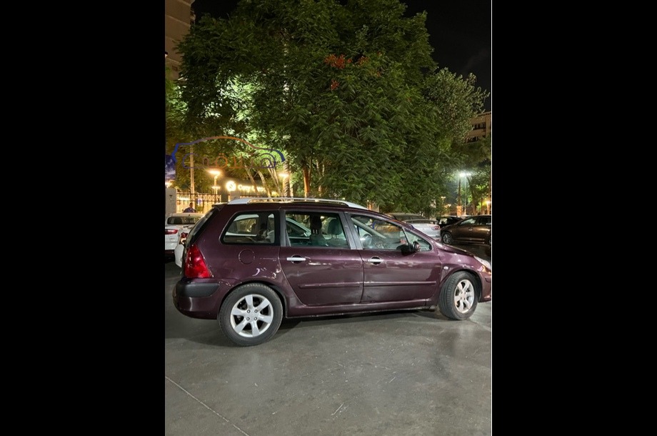 307 Peugeot باذنجاني