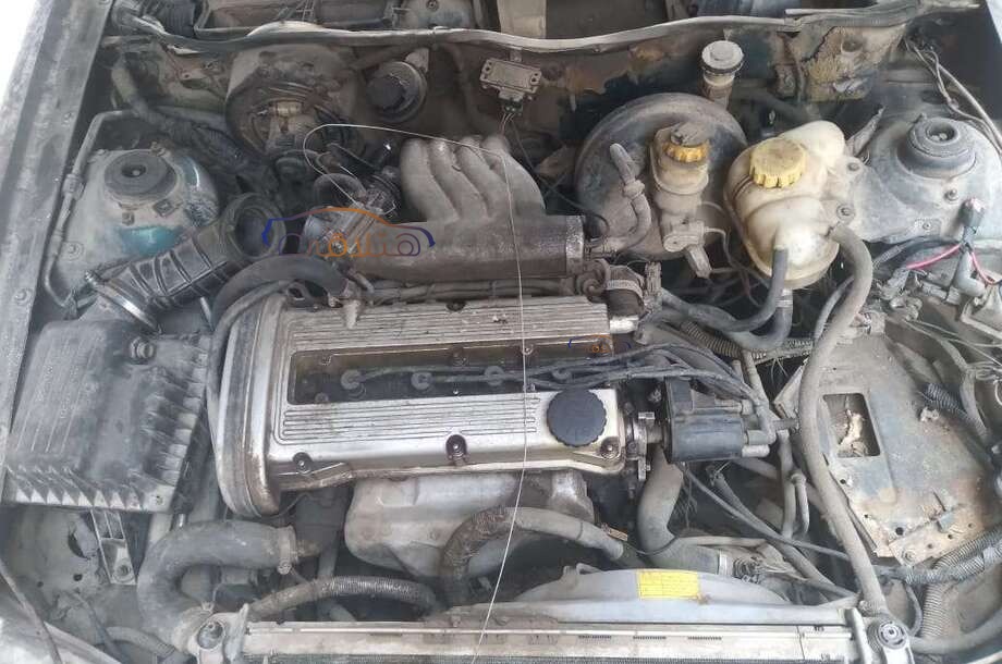 Espero Daewoo أخضر