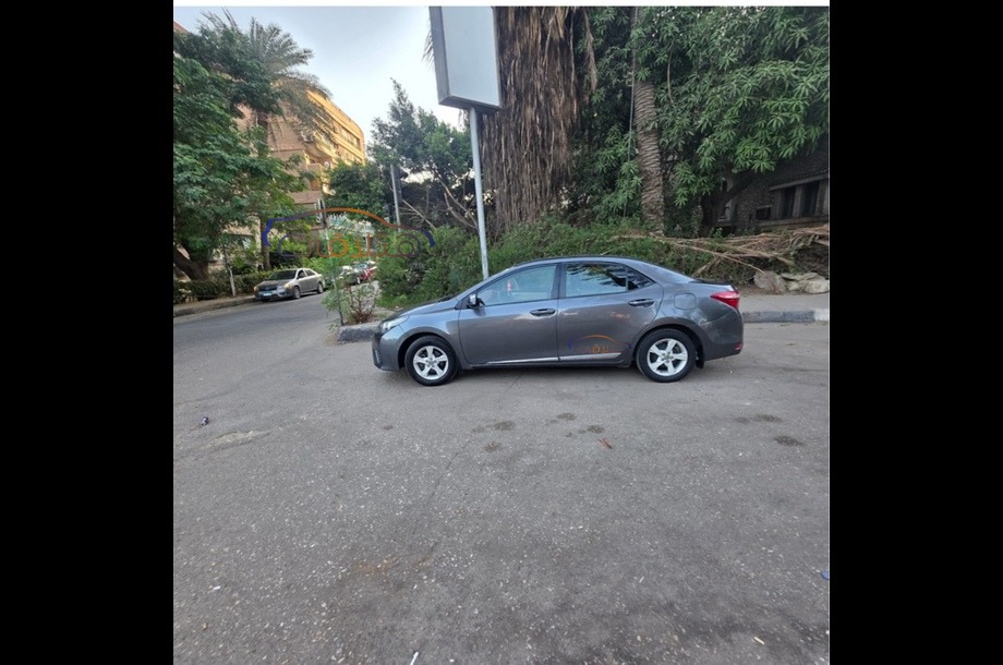 Corolla Toyota رمادي