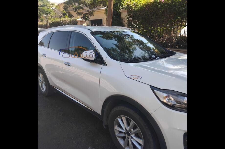 Sorento Kia أبيض