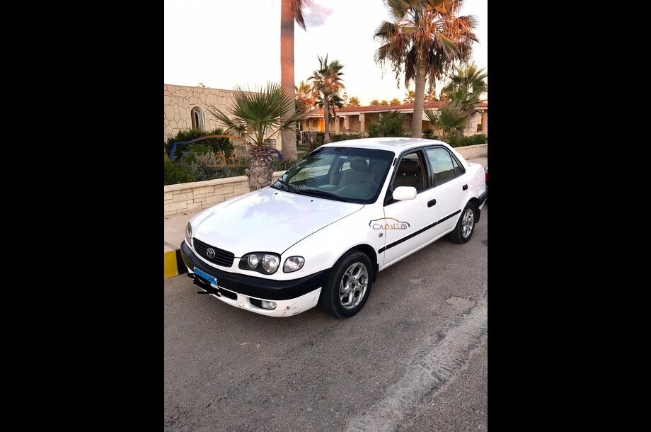 Corolla Toyota White