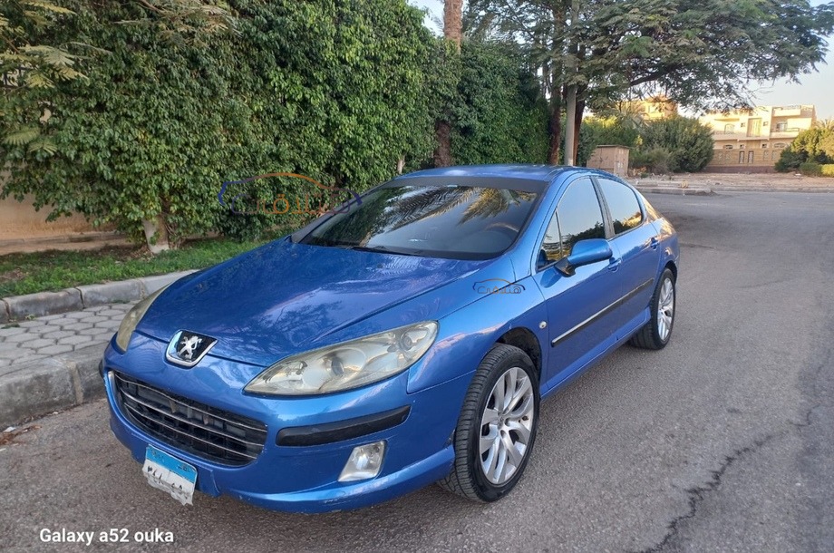 407 Peugeot Blue