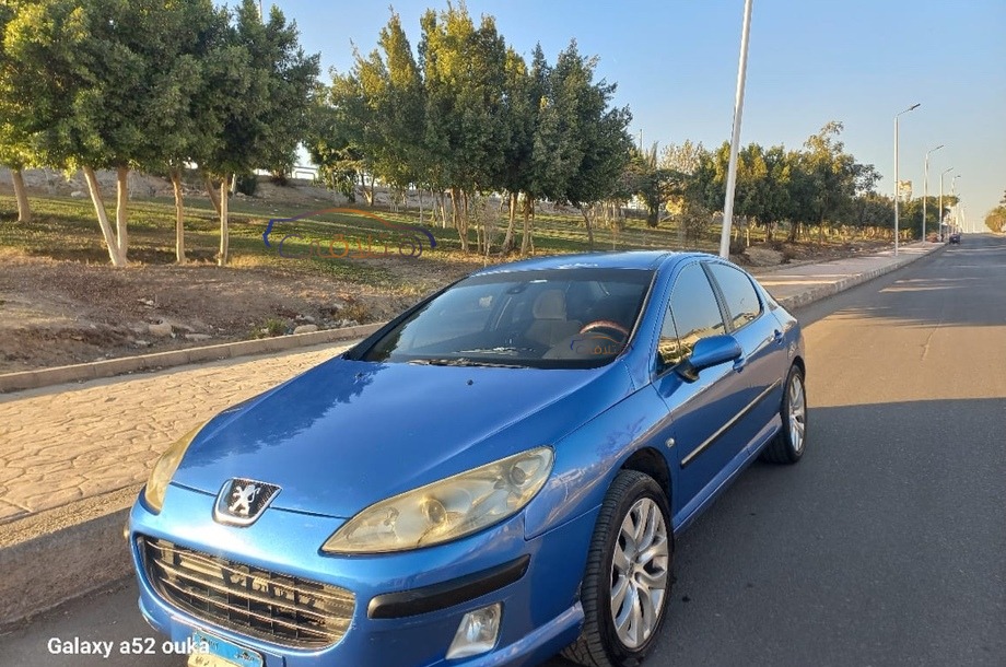 407 Peugeot Blue