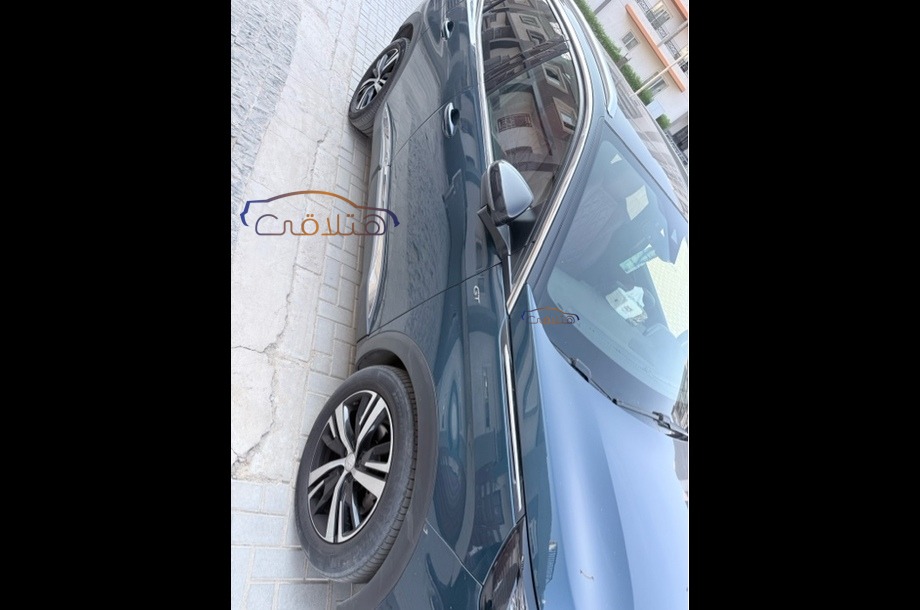 3008 Peugeot Petroleum