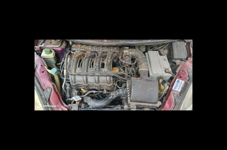 A113 Speranza احمر غامق