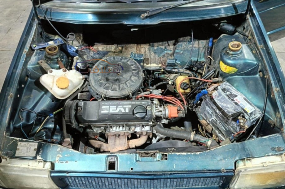 Ibiza Seat Dark green