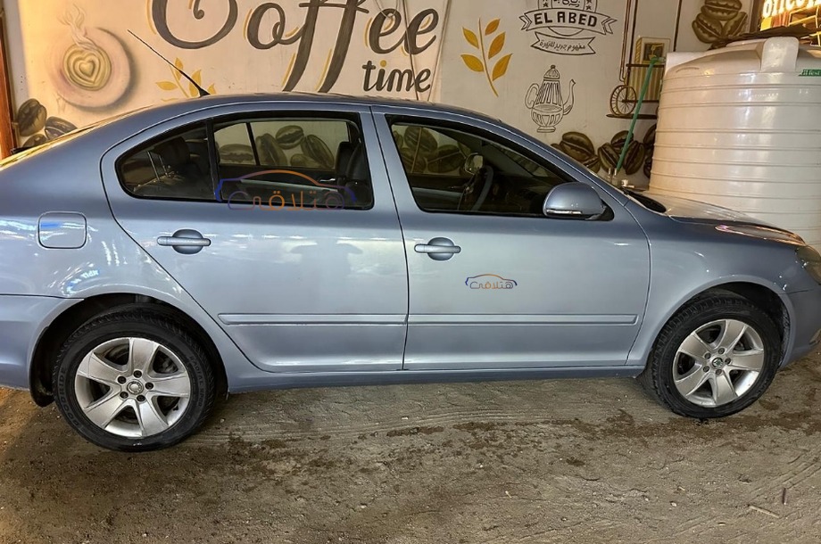 Fantasia Skoda فضي
