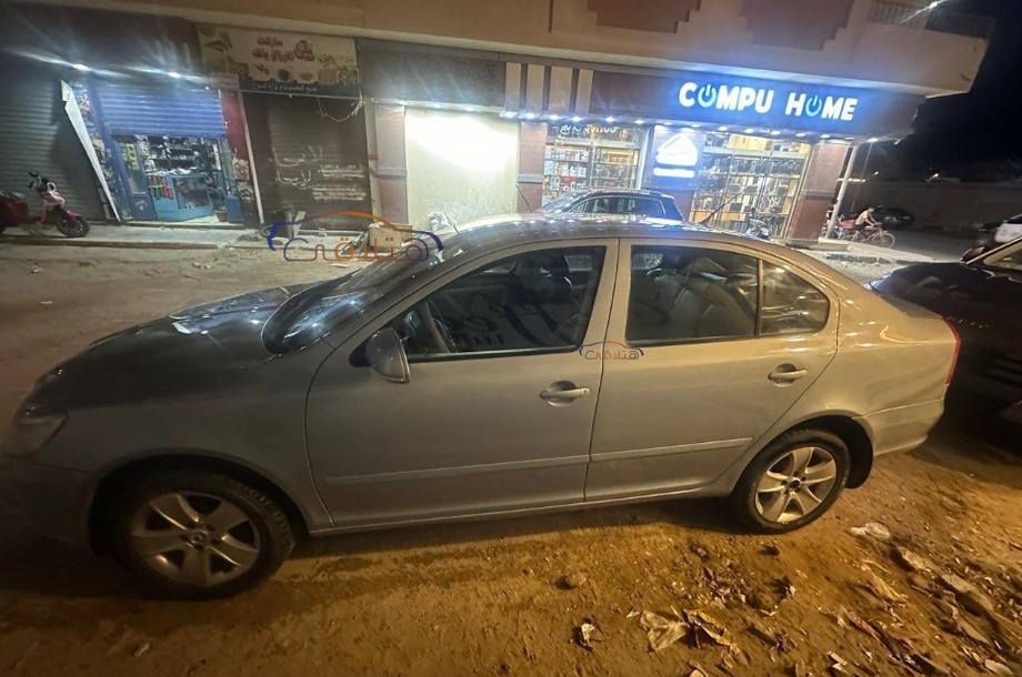 Fantasia Skoda فضي
