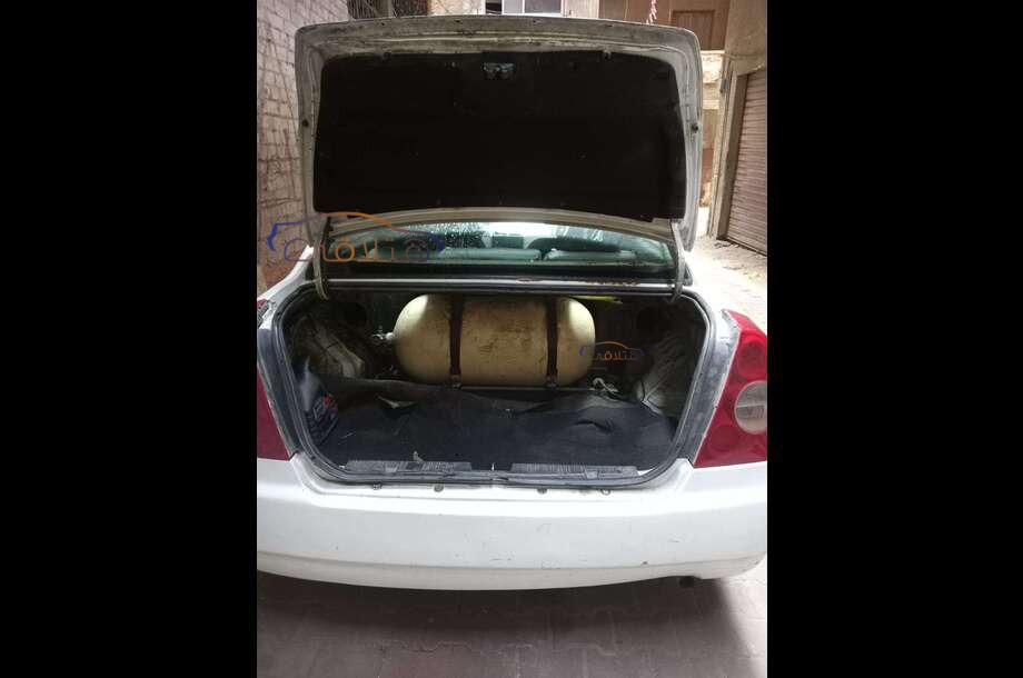 A516 Speranza أبيض