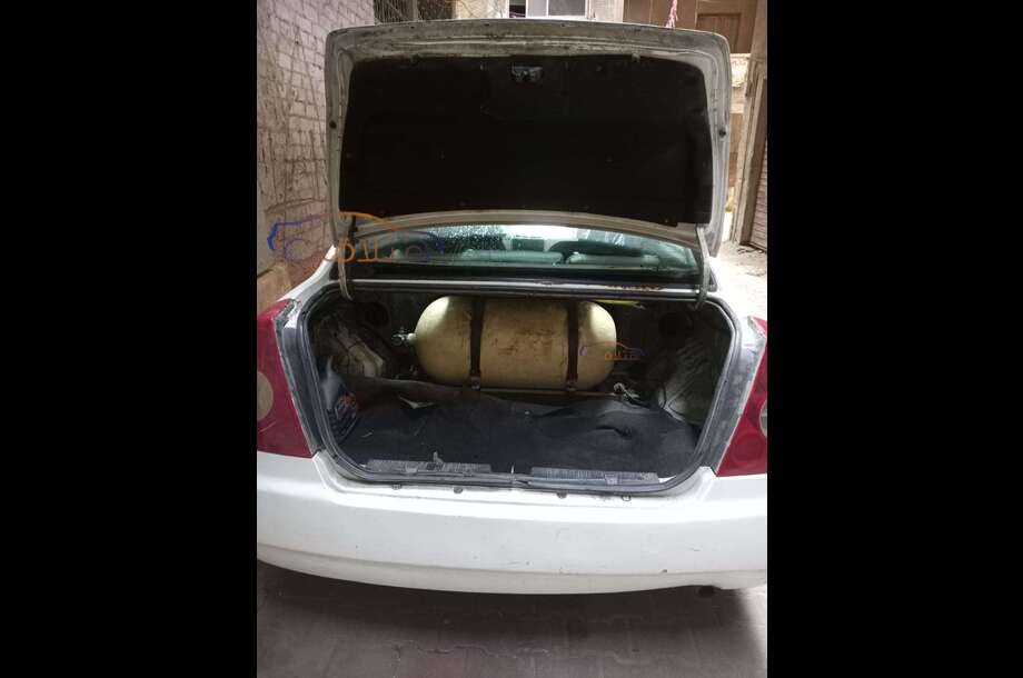 A516 Speranza أبيض