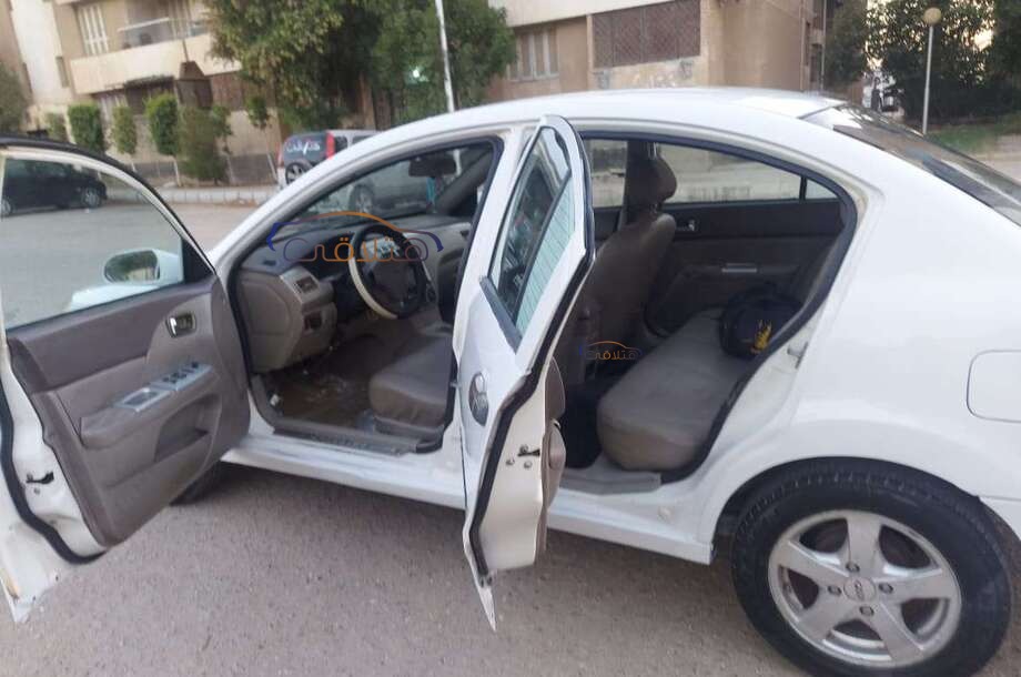 A516 Speranza أبيض