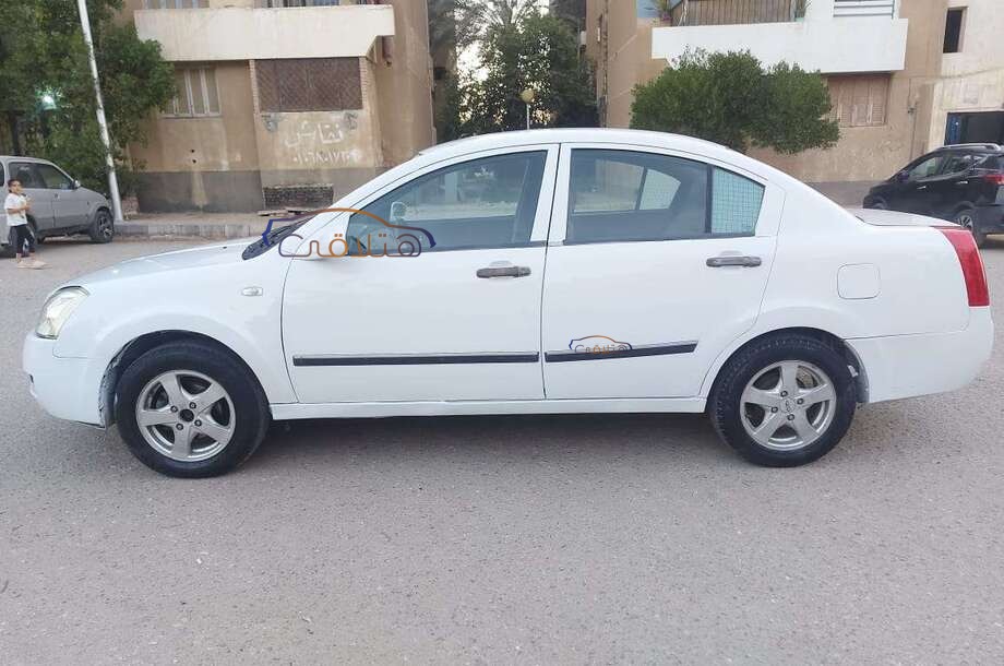 A516 Speranza أبيض