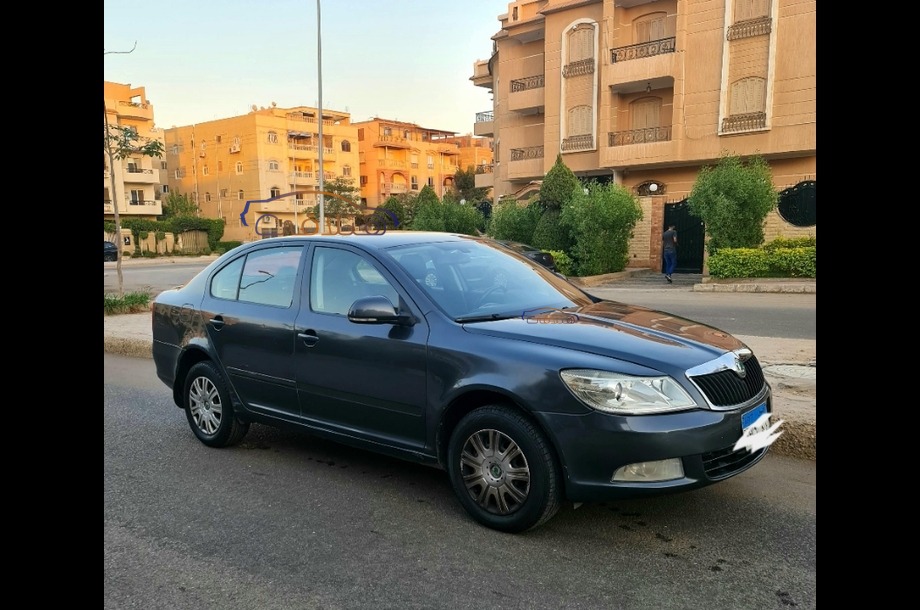 Fantasia Skoda Petroleum