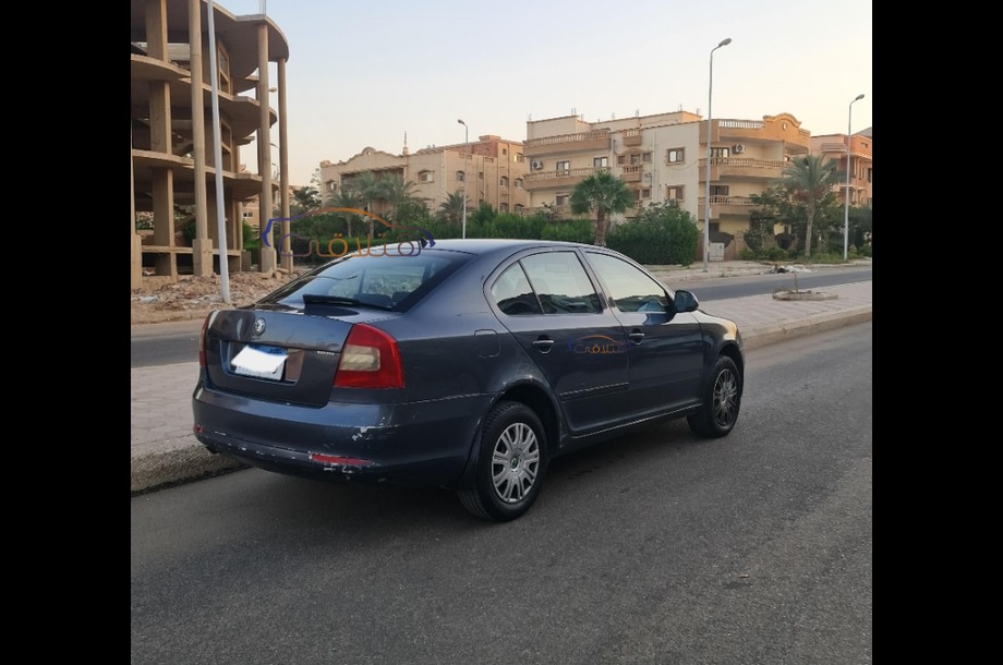 Fantasia Skoda Petroleum