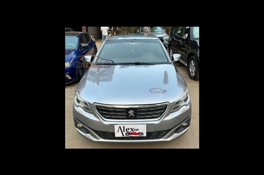 301 Peugeot Dark grey