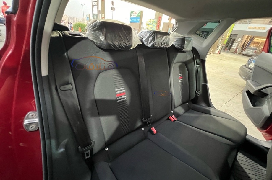 Ibiza Seat Red