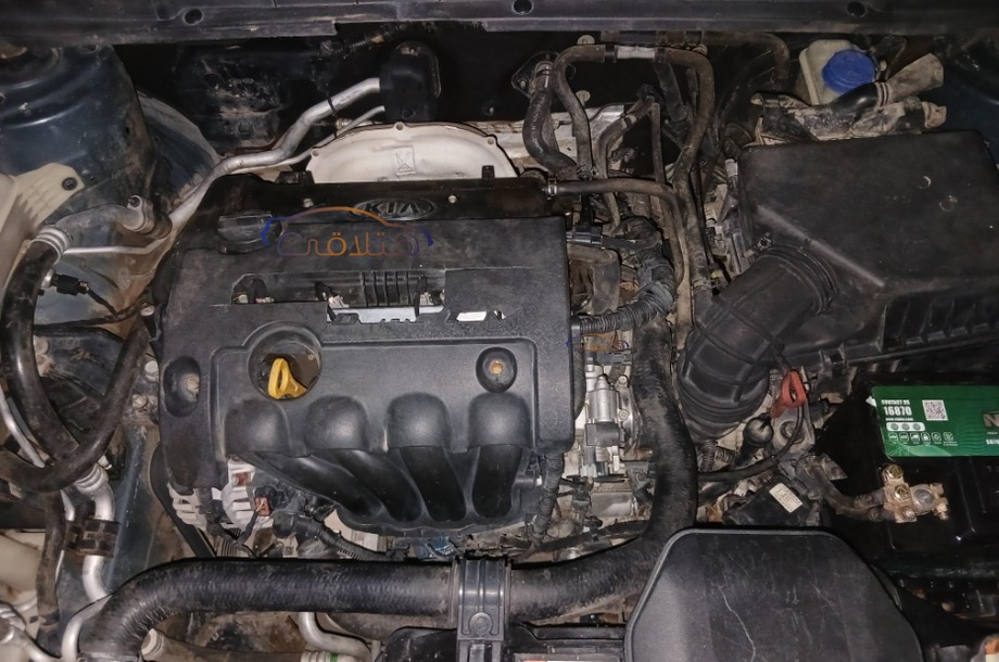 Carens Kia Petroleum