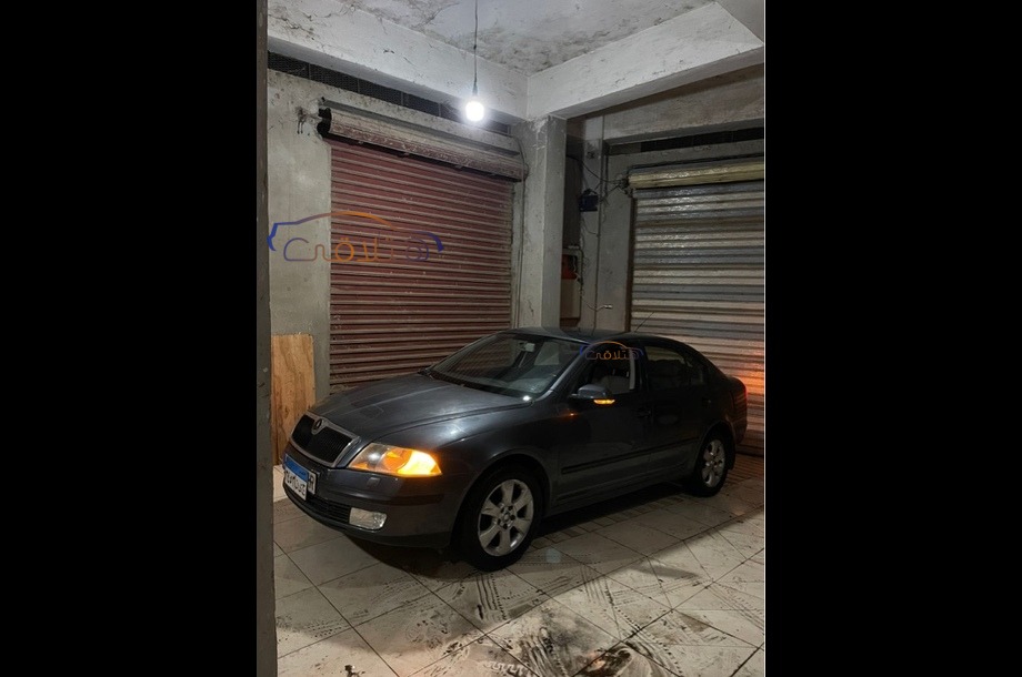 Octavia A5 Skoda Gray