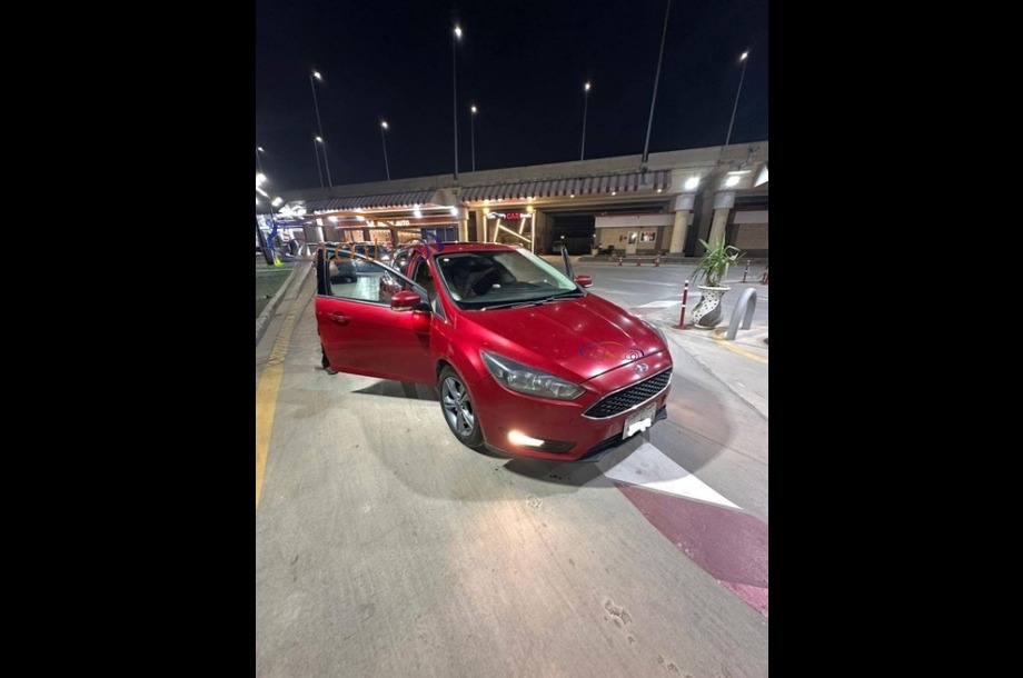 Focus Ford Dark red