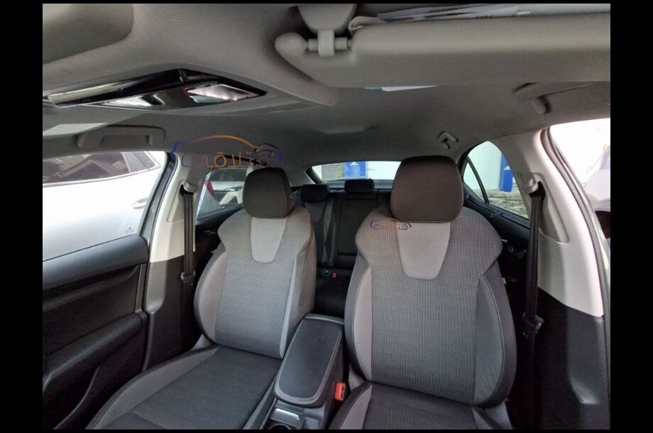 Octavia Skoda رمادي