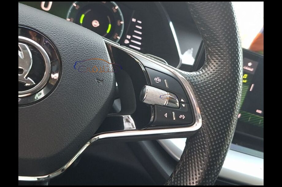 Octavia Skoda رمادي