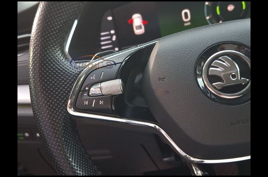 Octavia Skoda رمادي