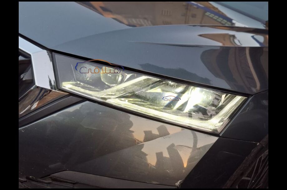 Octavia Skoda رمادي