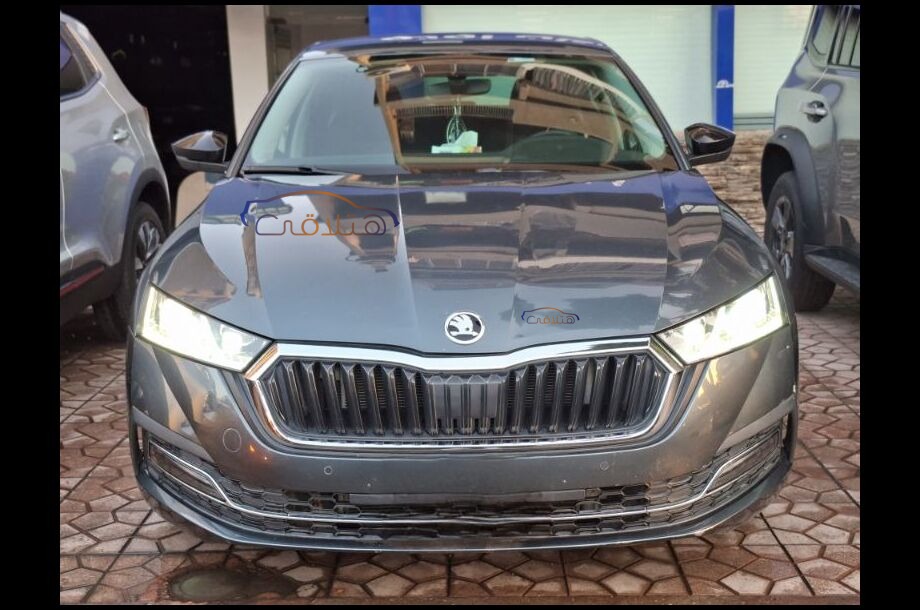 Octavia Skoda رمادي