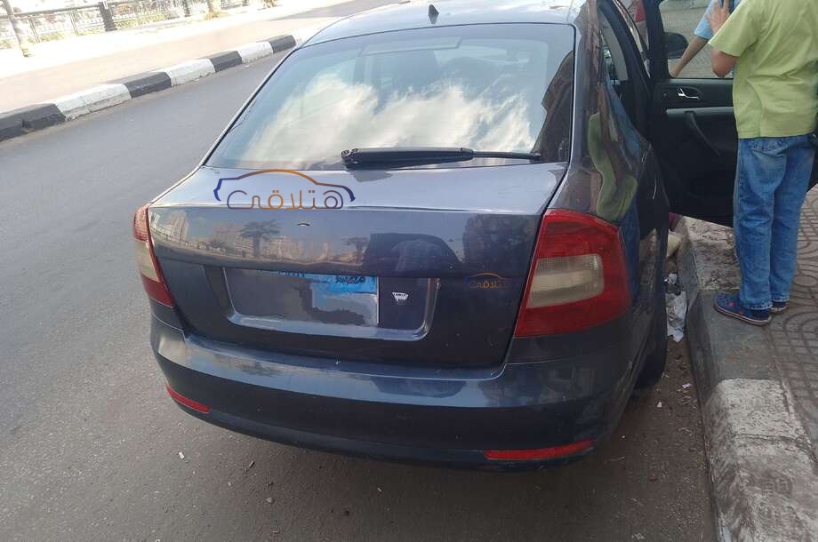 Fantasia Skoda رمادي