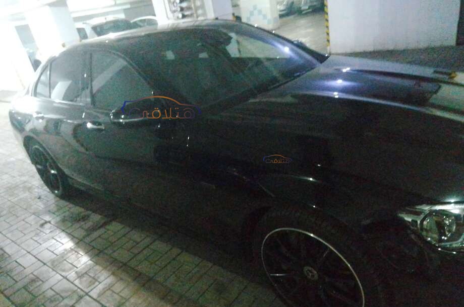 Fantasia Skoda رمادي