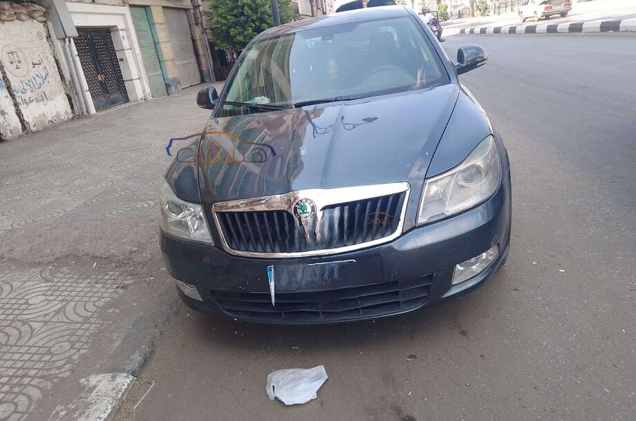 Fantasia Skoda رمادي