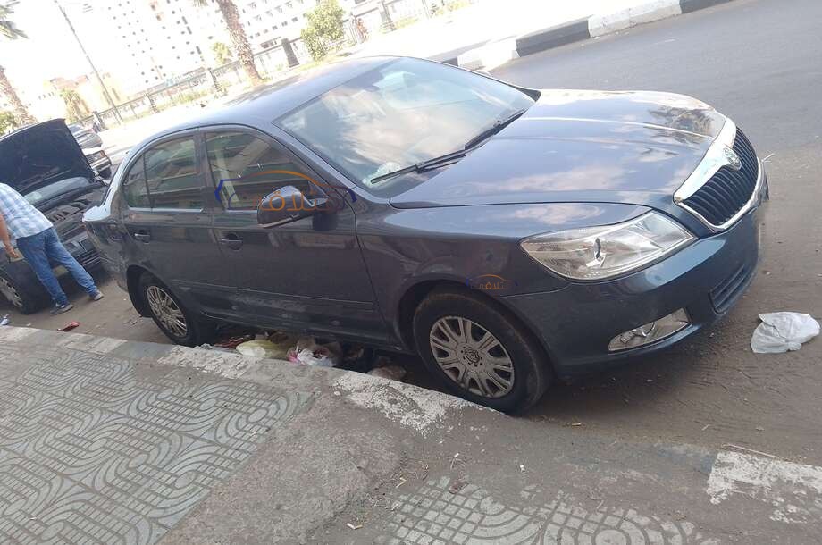 Fantasia Skoda رمادي