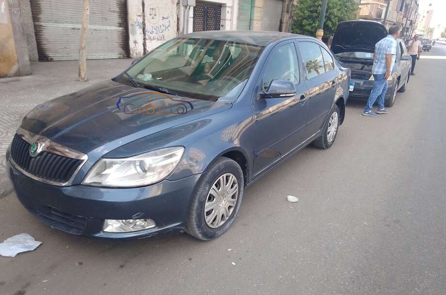 Fantasia Skoda رمادي