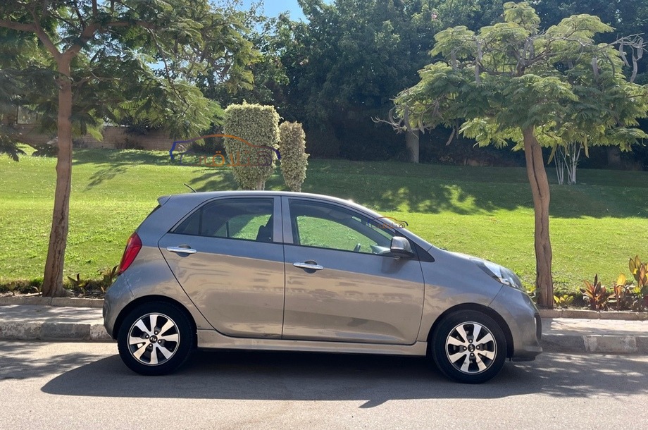 Picanto Kia رمادي